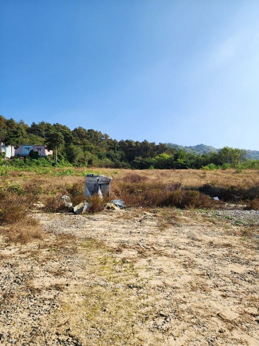 일련번호 (9) 토지 전경