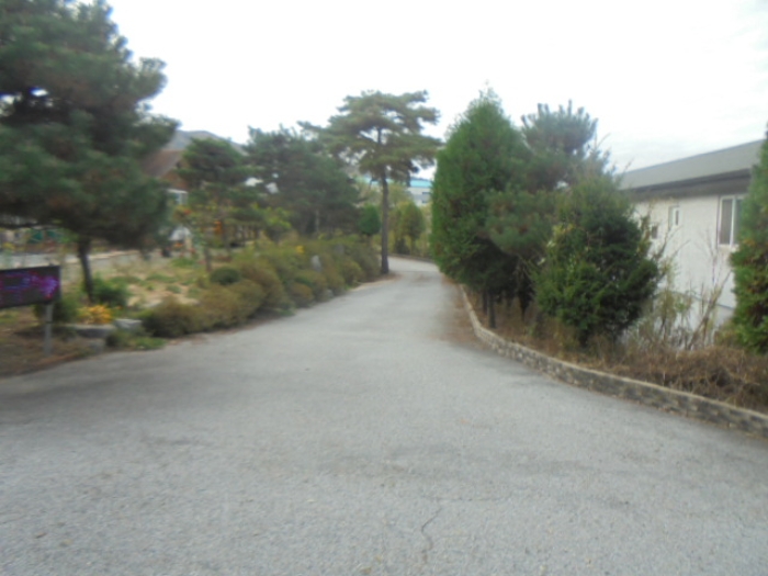 목적물 2번, 3번, 2~3번에 조경수