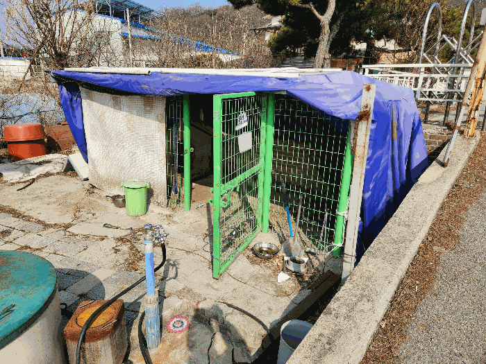 본건 제시외건물 ㉧