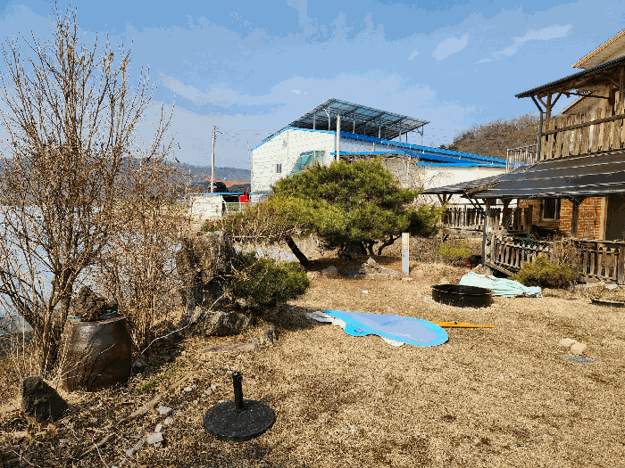 본건 제시외수목 ㉩