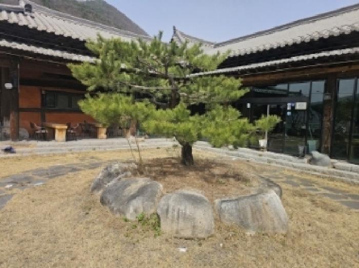 목록 3 제시 외 조경석 및 조경수