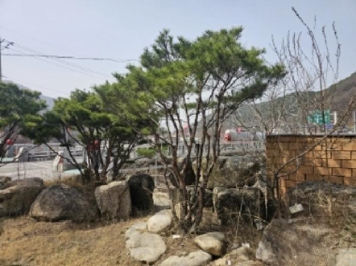 목록 3 제시 외 조경석 및 조경수