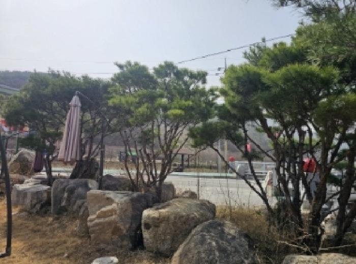 목록 3 제시 외 조경석 및 조경수