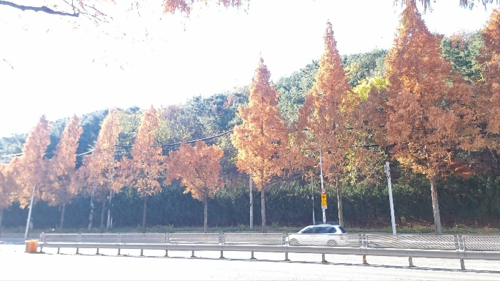 [본건 전경(북서측에서 촬영)]