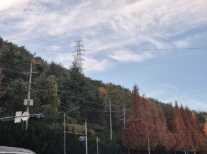 사진1