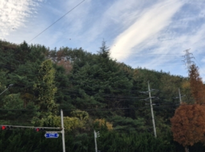 사진2