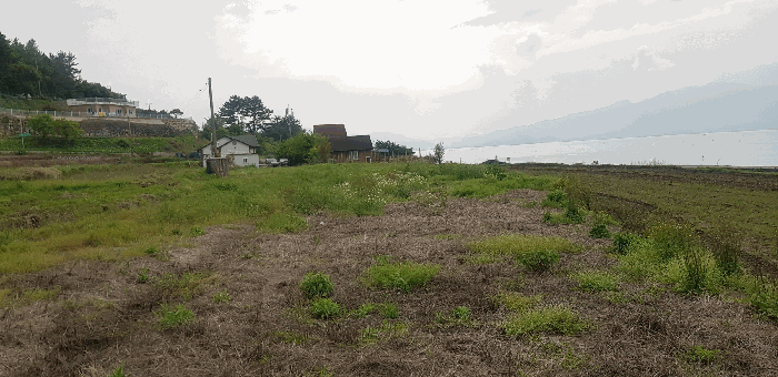 기호(12) 토지 전경