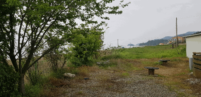 기호(ⓐ) 제시외수목 전경