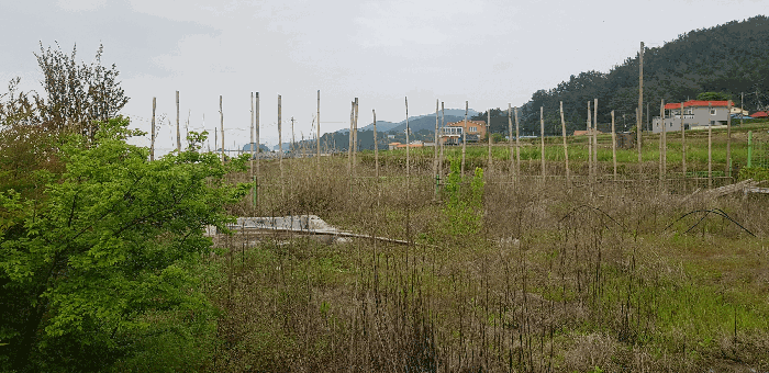 기호(14) 토지 전경