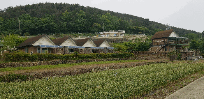 기호(1,2) 토지 전경