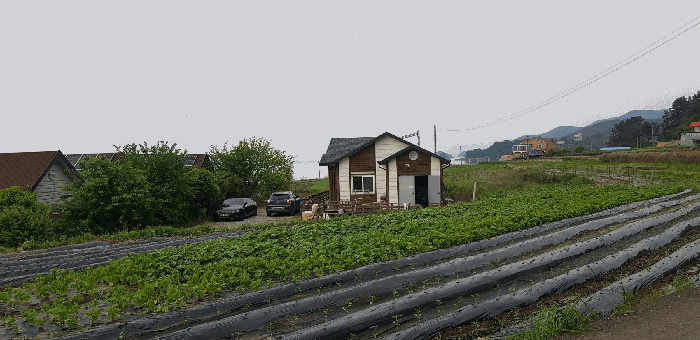 기호(10) 토지 전경