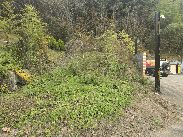 본건 사진(일련번호 6,10)