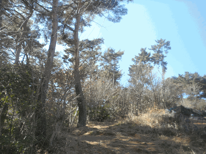 연번3