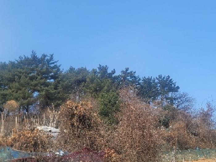 목록 3