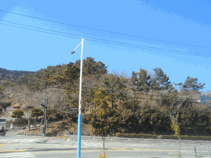 본건 및 인근 전경