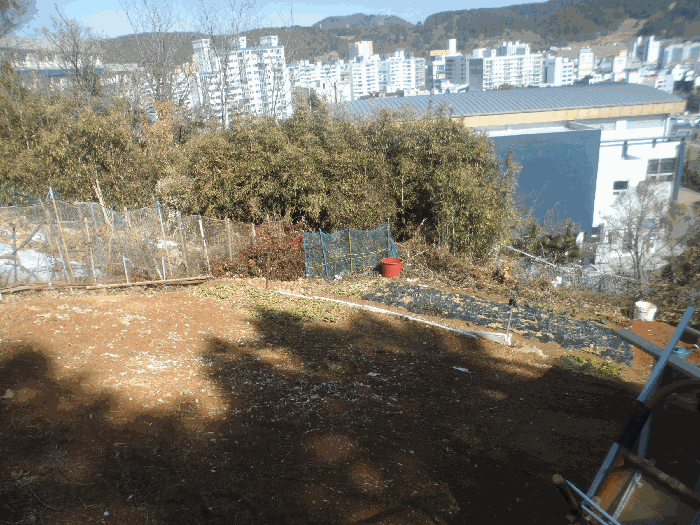 연번1