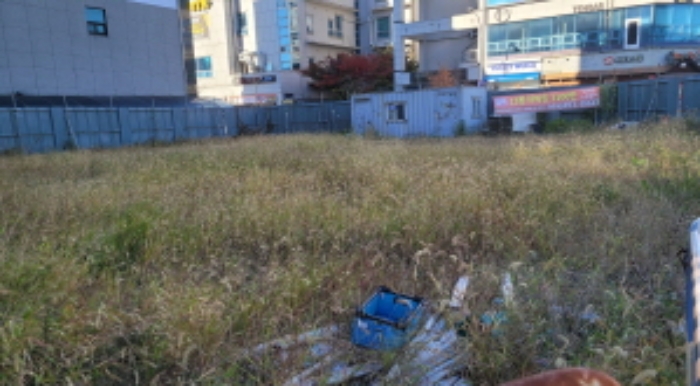 지상에 제시외 컨테이너 1동 있음