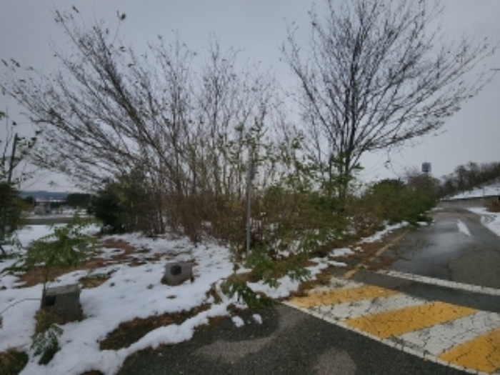 본건부동산 전경2