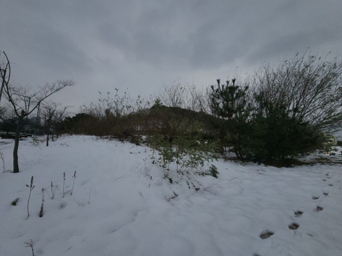 본건 부동산 원경