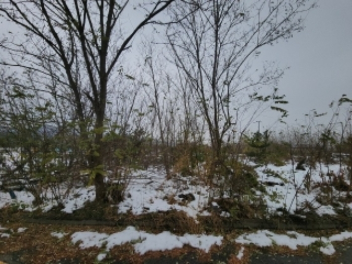 본건 부동산 전경3