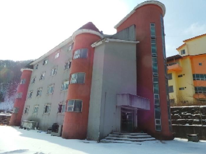 기호 3번 근거리에서 촬영한 것임