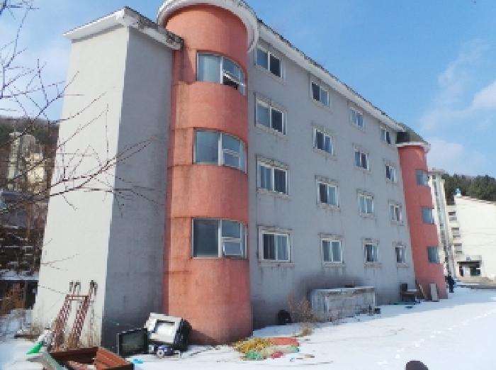 기호 3번 근거리에서 촬영한 것임