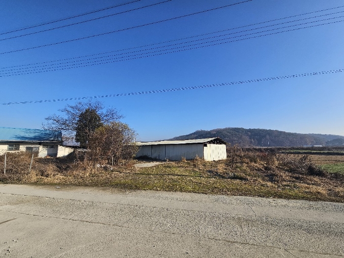 기호(1,9,10) 전경