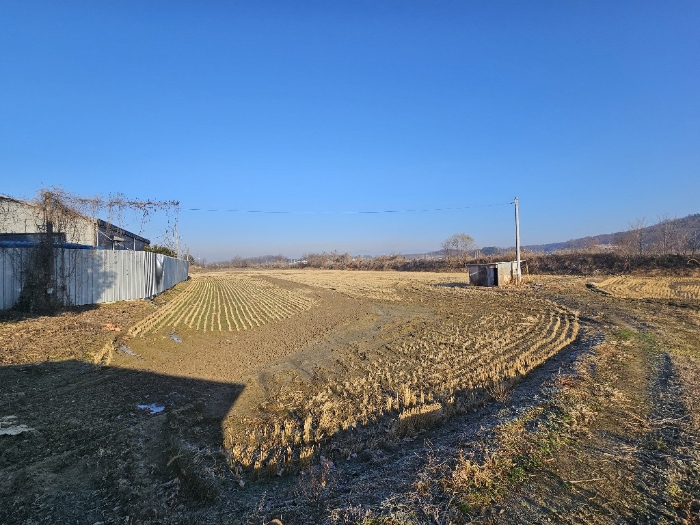 기호(6,7,8) 전경