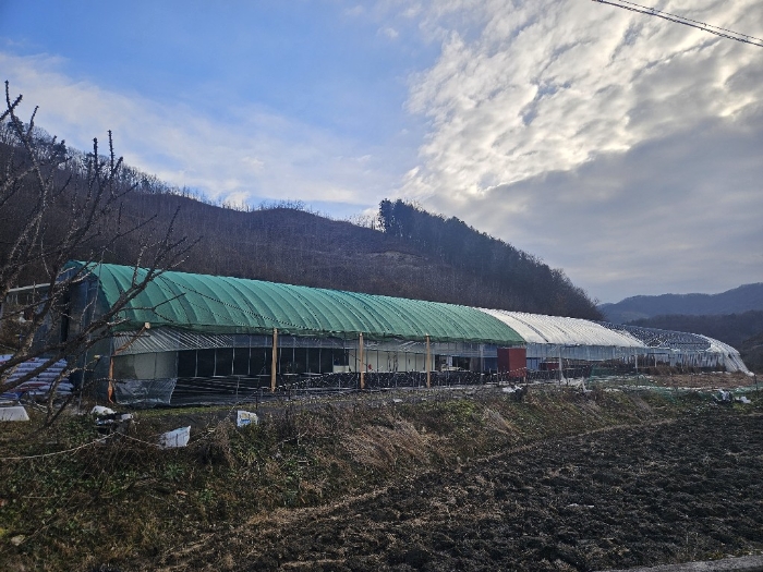 기호(13) 지상 비닐하우스 촬영