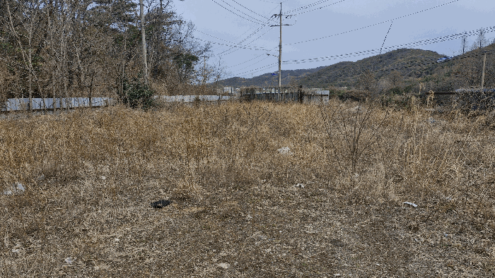 토지 기호 8 전경