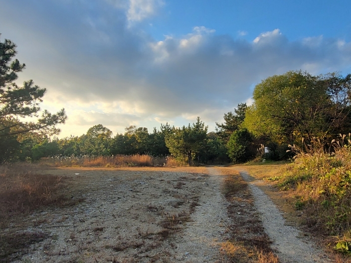 본건전경(남동측에서 촬영)