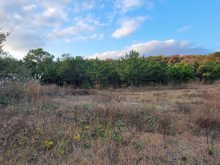 본건전경(남측에서 촬영)