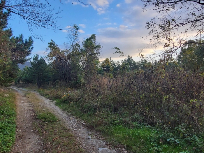 본건전경(북측에서 촬영)