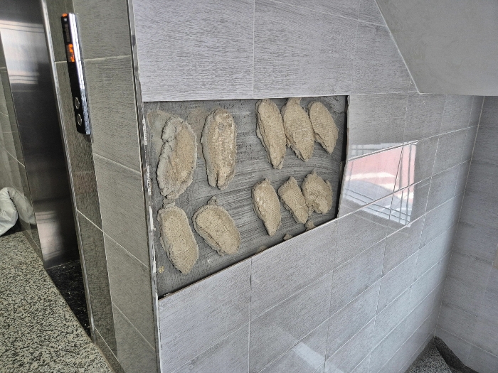 기호(2) 내벽 타일 하자 상태