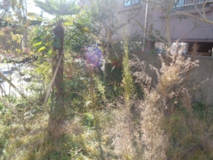 소재지1,2(하예동 148-4, 150-1) 전경 사진