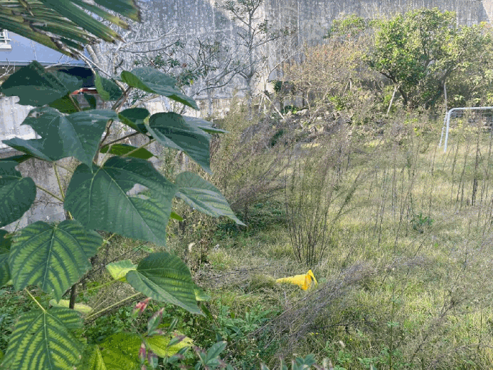 일련번호(1) 및 일련번호(2) 전경