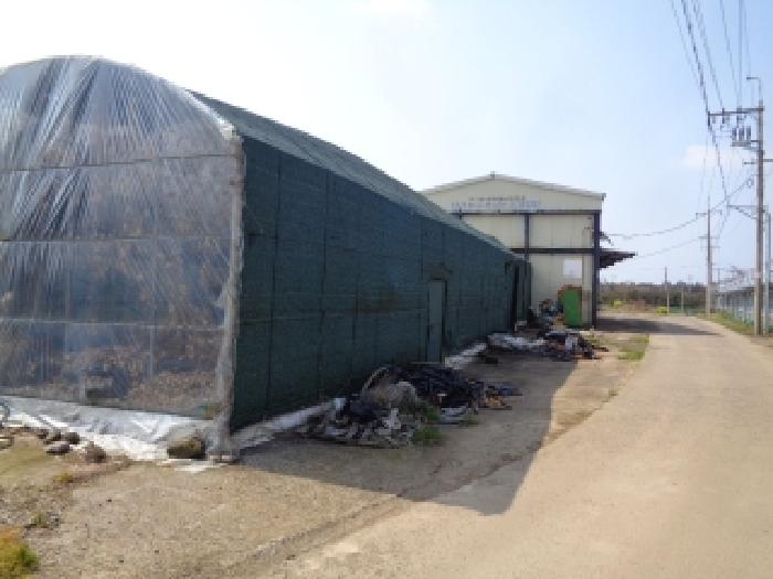 소재지 1.(낙천리 2006-3) 전경