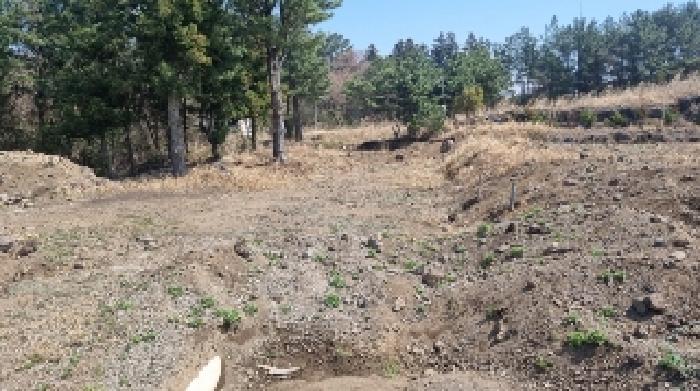 소재지6(봉개동 275-60) 전경1