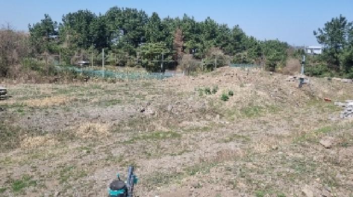 소재지1(봉개동 275-31) 전경2