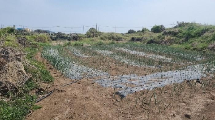 소재지1(동복리 628) 전경3