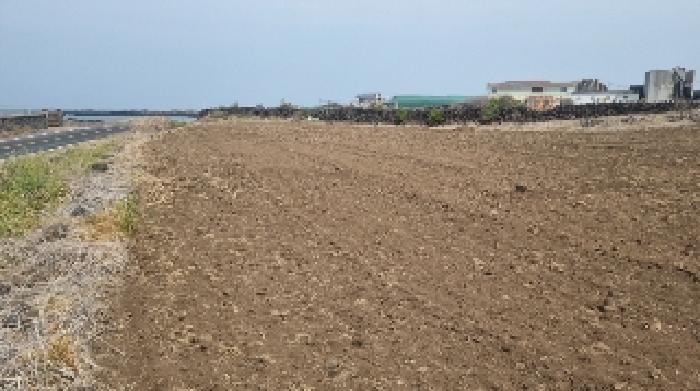 소재지3(동복리 659) 전경1