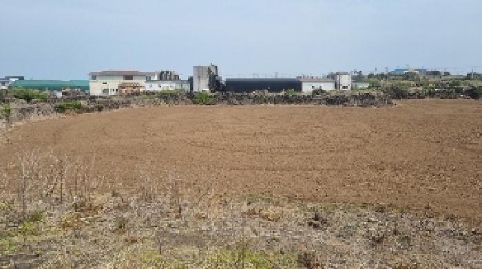 소재지2(동복리 656) 전경1