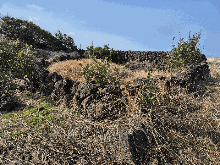 기호(2) 지상 제시외분묘