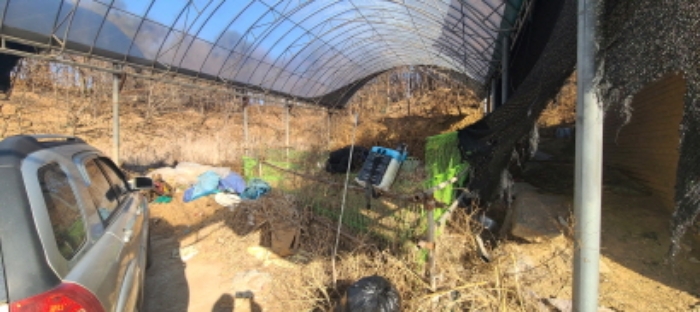 제시외 하우스 내부 전경(2)