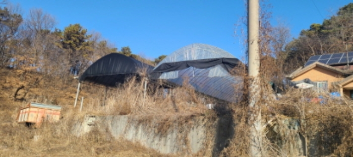 목록 2 토지상 제시외 하우스 전경