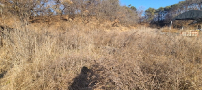 목록 1 토지 전경(1)