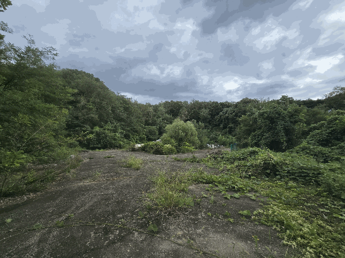 기호7) 토지 전경