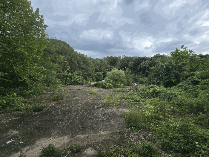 기호10) 토지 전경