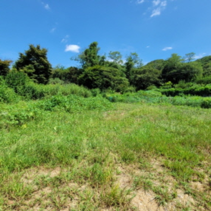 목록1 토지 전경