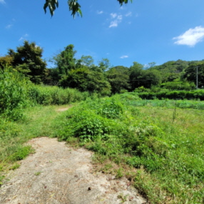 목록1 토지 전경